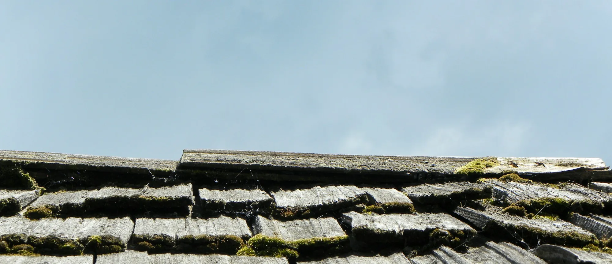 Old moss-covered wood shakes along a roof edge