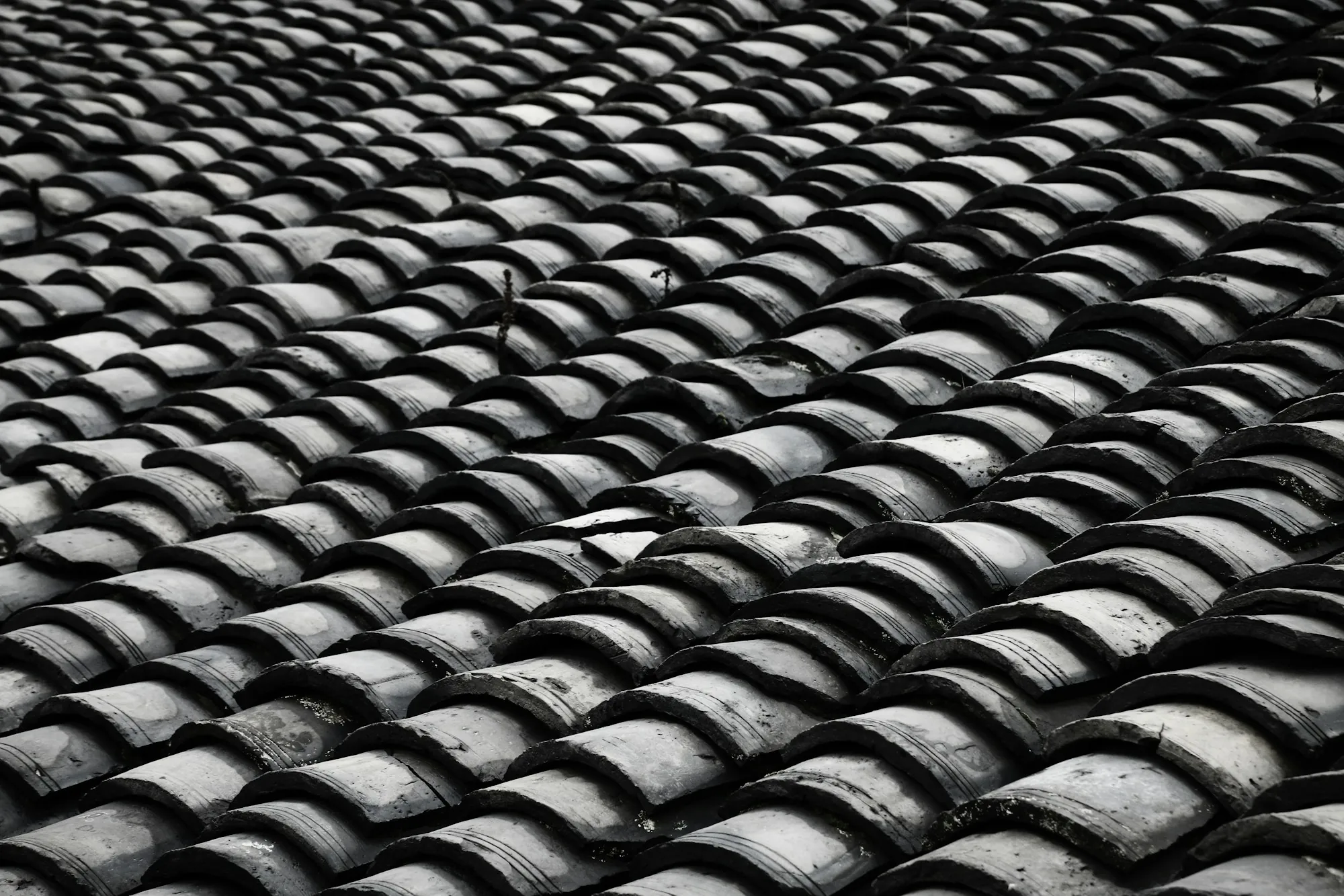 Black and white close-up of curved roof tiles